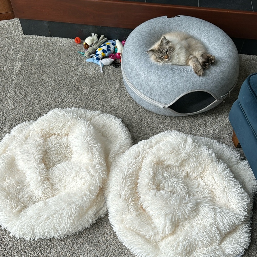 Cattasaurus Calming covers